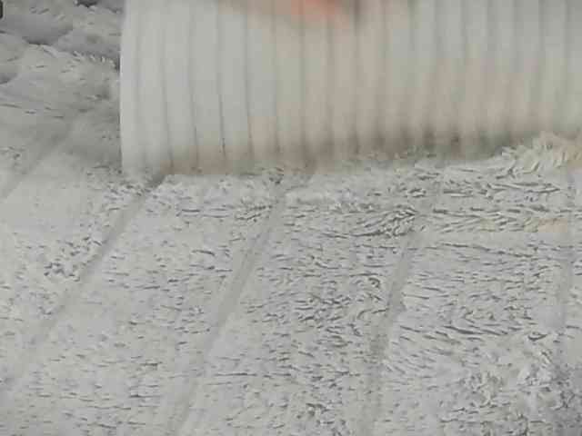 MayaCollins webcam