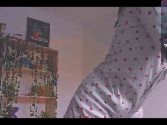 ShadowEva webcam