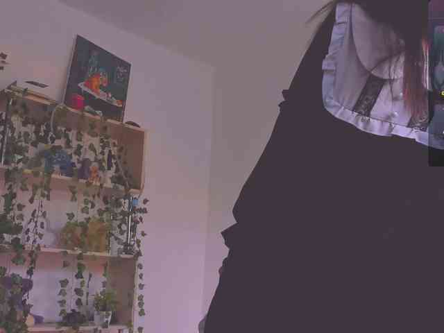 ShadowEva webcam