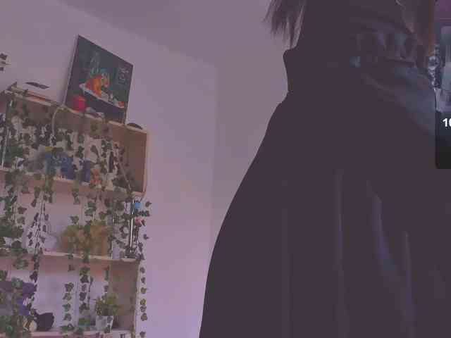 ShadowEva webcam