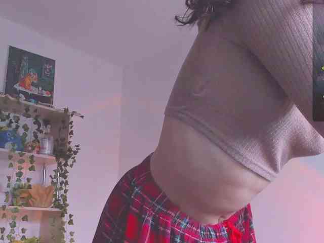 ShadowEva webcam