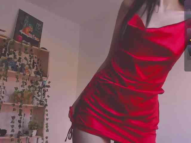 ShadowEva webcam