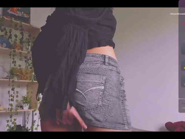 ShadowEva webcam