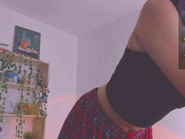 ShadowEva webcam