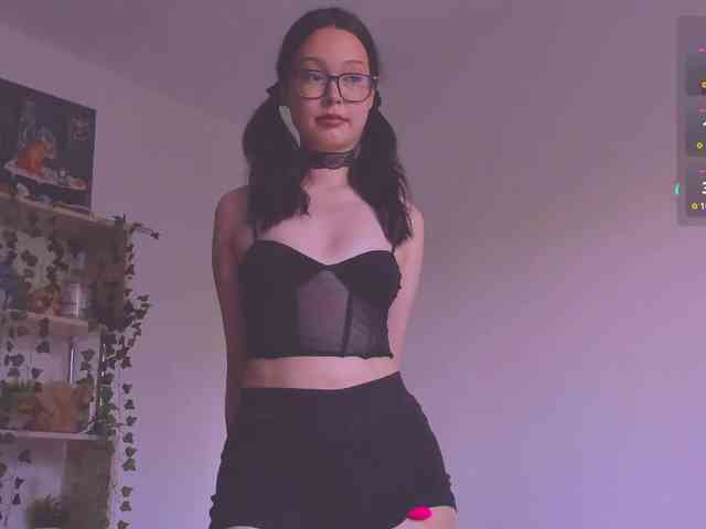 ShadowEva webcam