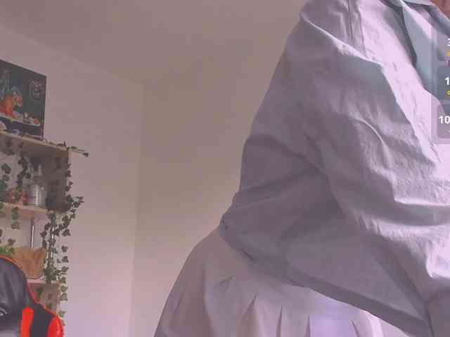 ShadowEva webcam