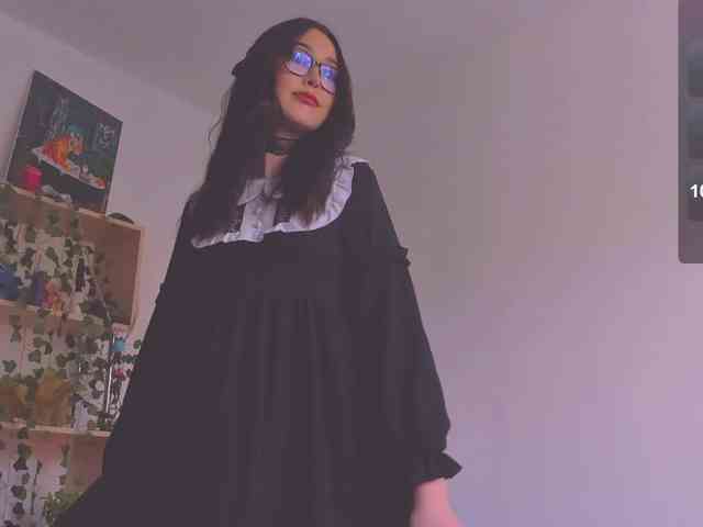 ShadowEva webcam