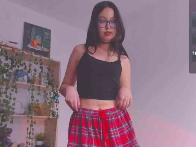 ShadowEva webcam
