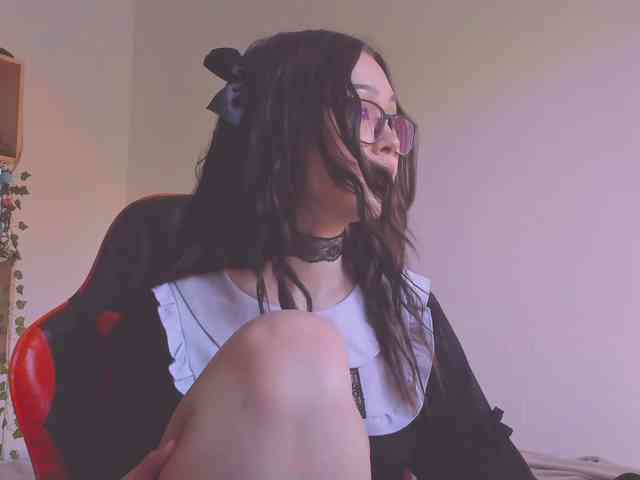 ShadowEva webcam