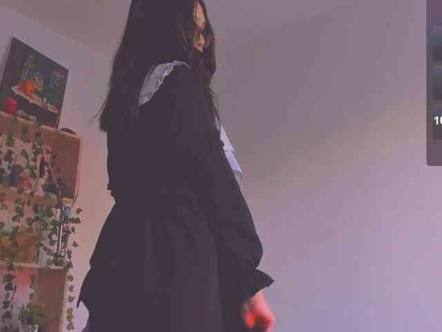 ShadowEva webcam