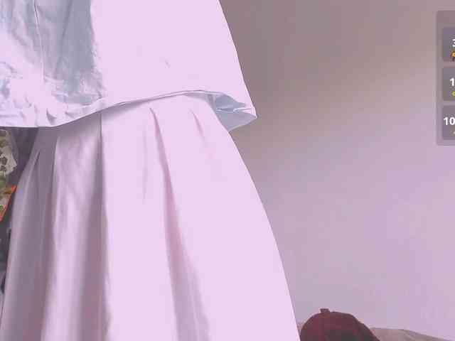 ShadowEva webcam