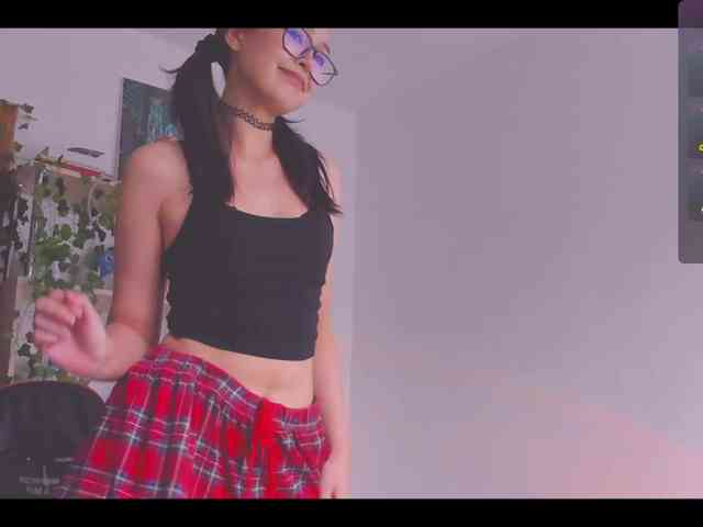 ShadowEva webcam