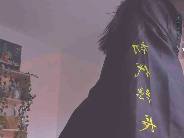 ShadowEva webcam