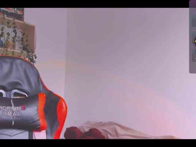 ShadowEva webcam