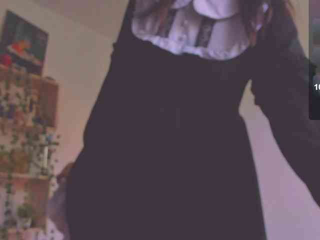 ShadowEva webcam