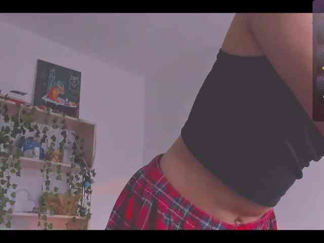 ShadowEva webcam