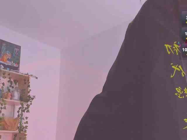 ShadowEva webcam
