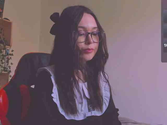ShadowEva webcam