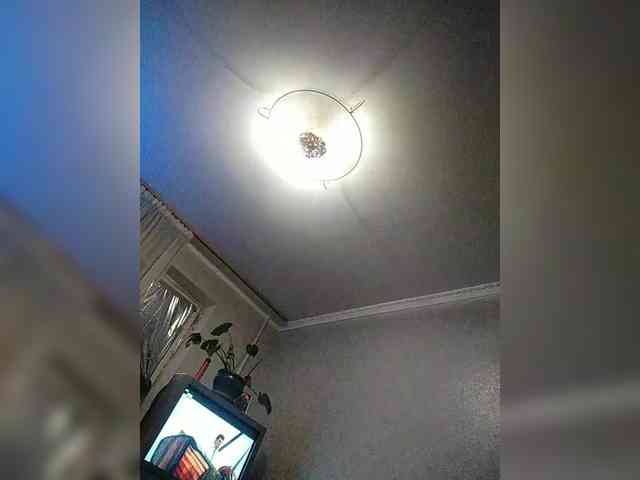 AnnaArtem webcam