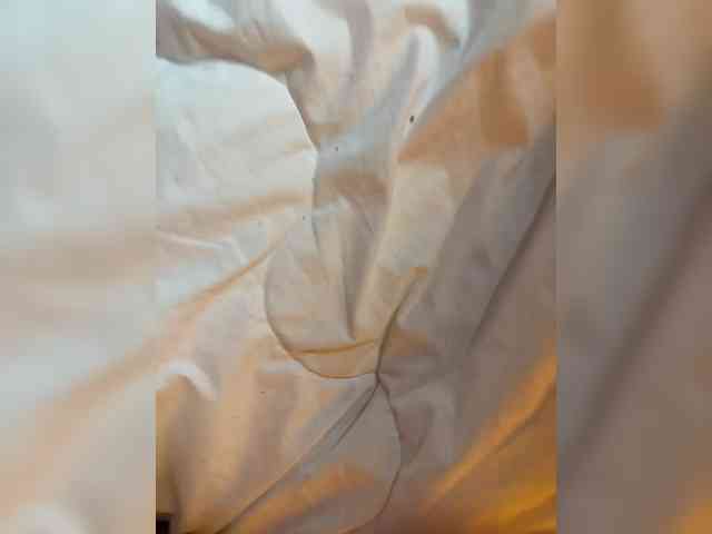 sexcam show VibeSwet37