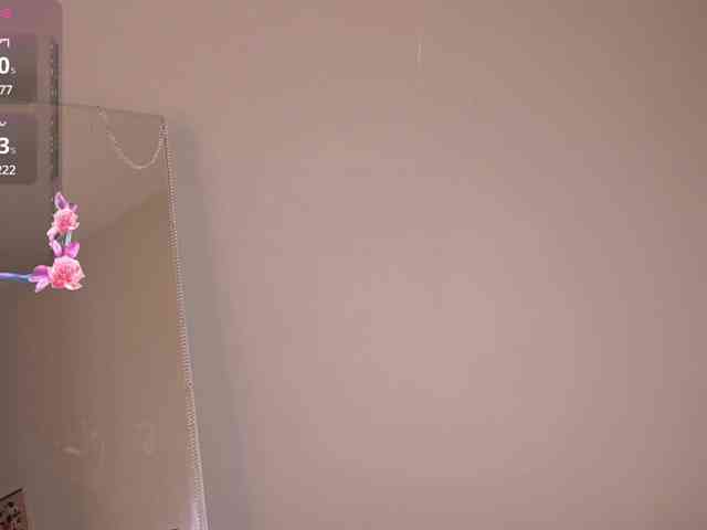 dollypixel webcam