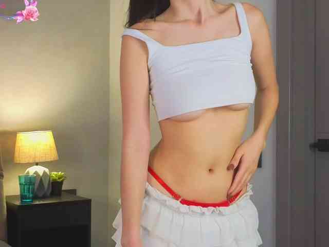 dollypixel webcam