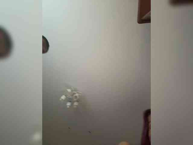 VIP17CoupleDream webcam