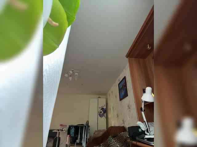 VIP17CoupleDream webcam