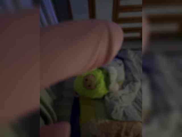 VIP17CoupleDream webcam