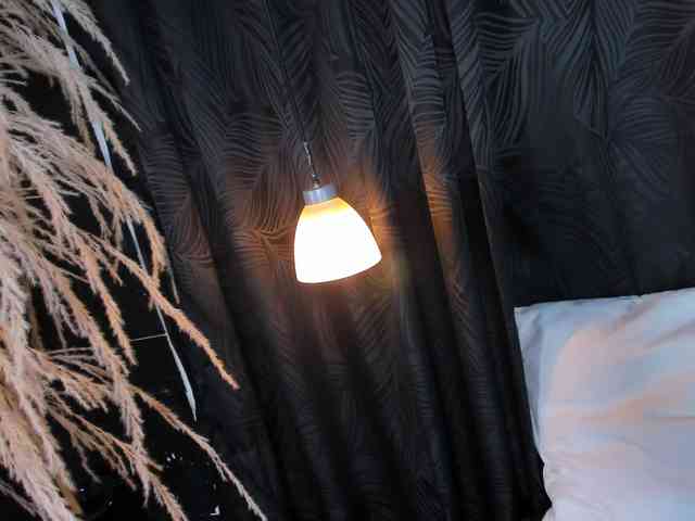 celinayhanck celinayhanck