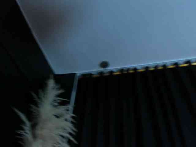 celinayhanck Live Webcam on BongaCams