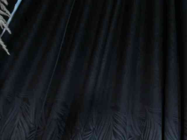 celinayhanck celinayhanck