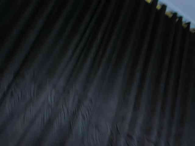 celinayhanck celinayhanck