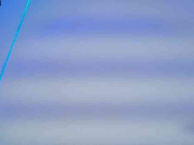 Daphnewa5808 webcam