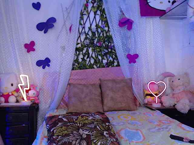 Hanawayne webcam