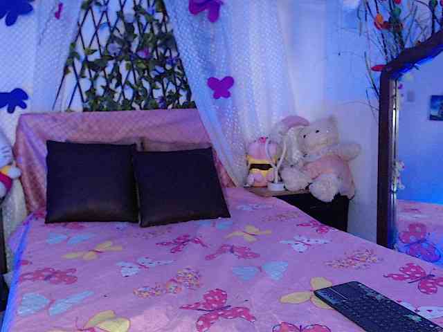 Hanawayne webcam