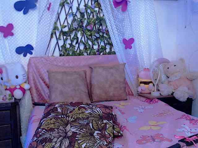 Hanawayne webcam