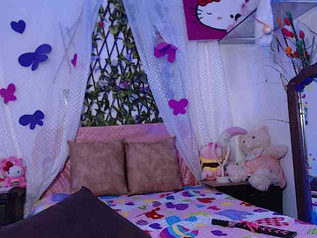 Hanawayne webcam