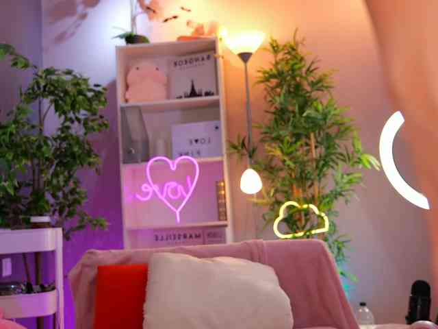 Vesia webcam