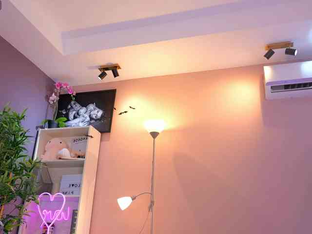 Vesia webcam