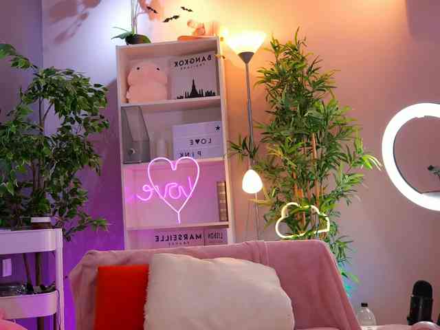 Vesia webcam