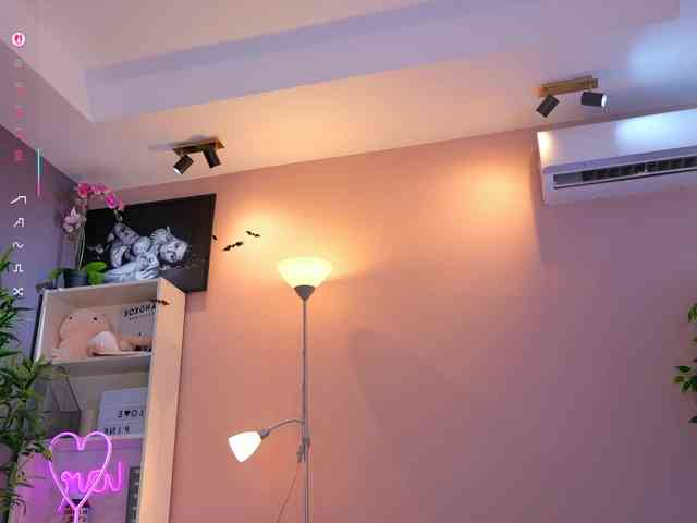 Vesia webcam