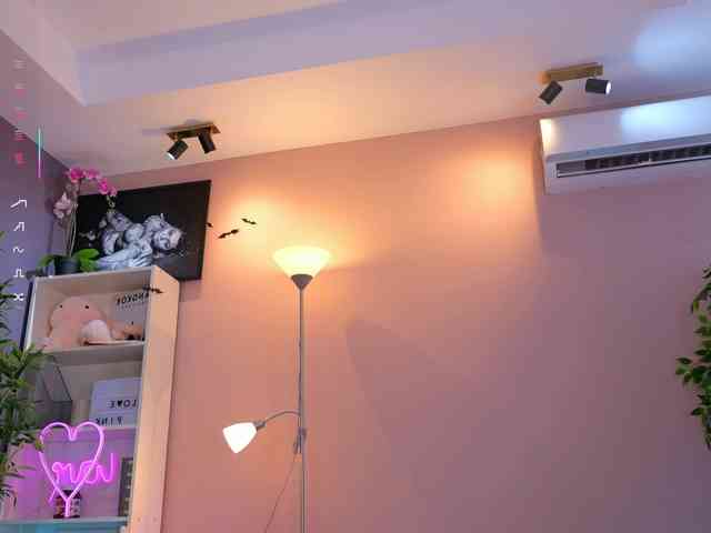 Vesia webcam