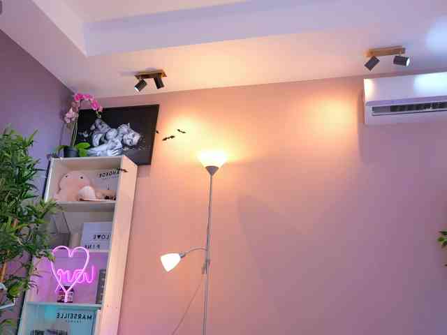 Vesia webcam
