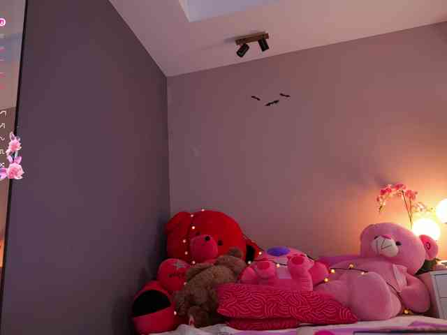 Vesia webcam