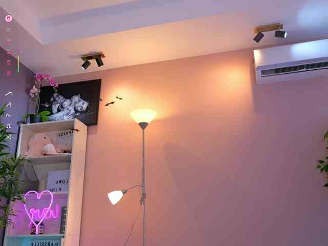 Vesia webcam