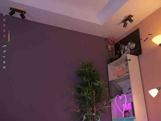 Vesia webcam