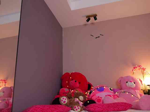 Vesia webcam