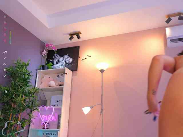 Vesia webcam