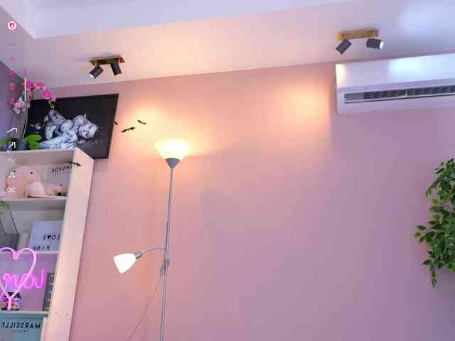 Vesia webcam